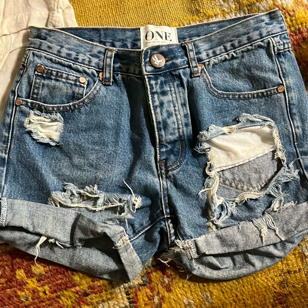 One teaspoon denim shorts size 24